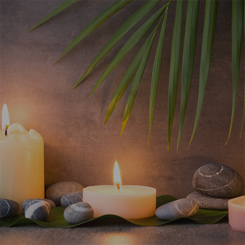 Wellness Coach